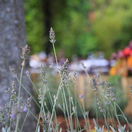 Podere La Miniera Relax & Food Siena Luaran gambar