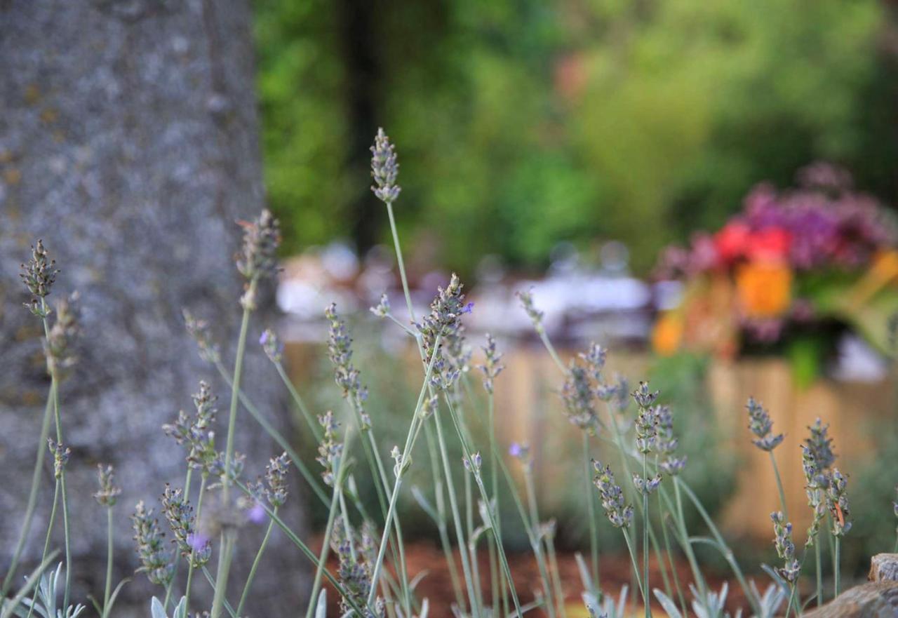 Podere La Miniera Relax & Food Siena Luaran gambar